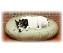 Pet Beds from Cushion Source!